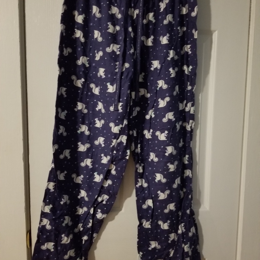 Purple squirrel Sonoma pajamas in medium
